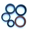 NBR FKM Tc Sc Skeleton Oil Seal