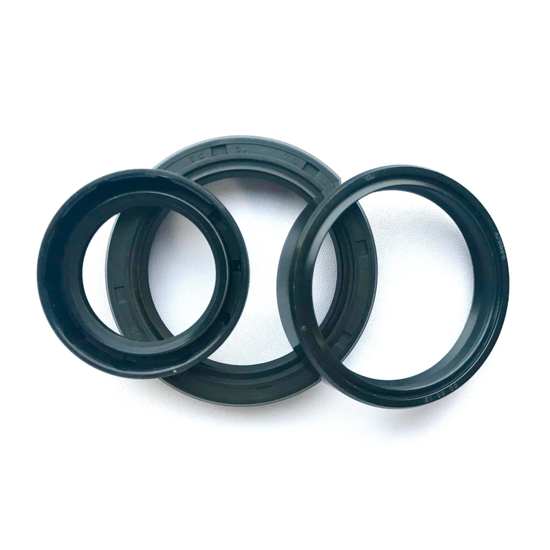 OEM/ODM Oil Resistance NBR FKM Tc Sc Skeleton Oil Seal