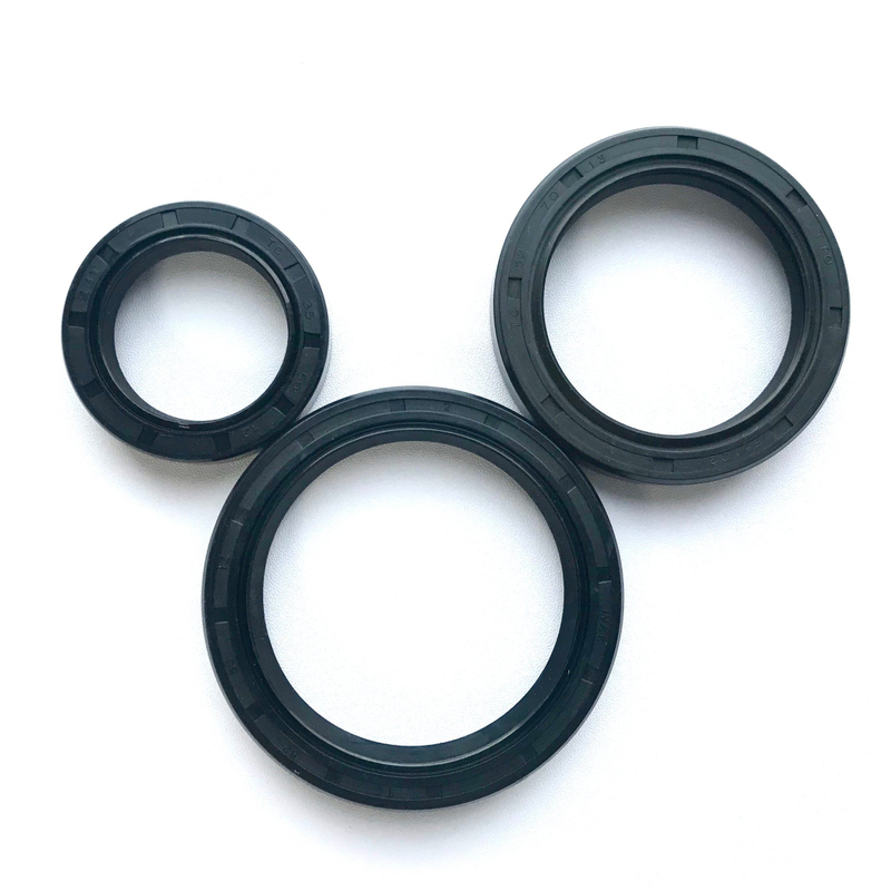 OEM/ODM Oil Resistance NBR FKM Tc Sc Skeleton Oil Seal