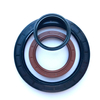 Customized High Temperature Resistance Mechanical Hydraulic Oil Seal