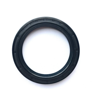 Custom Auto Parts NBR Rubber Shaft Bearing Hydraulic Framework Tc Tb Oil Seal