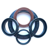 High Quality Lips Tc NBR FKM Skeleton Oil Seal