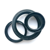 Oil Seal-1