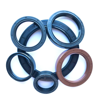 Customized NBR FKM Tc Sc Skeleton Oil Seal