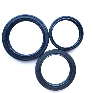 Customized Rotary Seal NBR FKM Valve Stem Tc Sc Skeleton Oil Seal