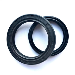 NBR FKM Rubber Shaft Seal Bearing Seal Tc Ftamework Oil Seal