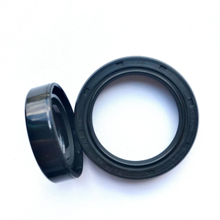 NBR Rubber Shaft Bearing Hydraulic Framework Tc Tb Oil Seal