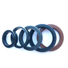 Mechanical Hydraulic Pump Seal NBR FKM Framework Oil Seal