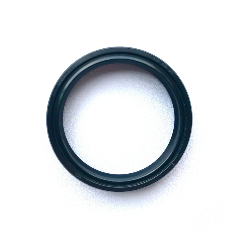 OEM/ODM Lips Tc Sc NBR FKM Skeleton Oil Seal