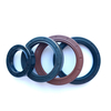 Customized Rubber Auto Parts High Pressure Resistance NBR FKM Oil Seal