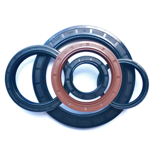 Custom NBR FKM Shaft Bearing Hydraulic Framework Tc Tb Oil Seal