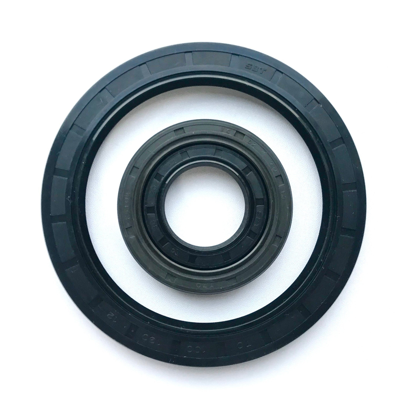 OEM/ODM Oil Resistance NBR FKM Tc Sc Skeleton Oil Seal