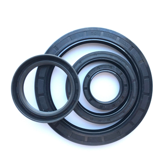 Customized Nok Standard Shaft Seal Tc Sc Framework Oil Seal