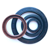 Rubber Auto Parts NBR FKM Oil Seal