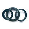 Excavator Parts NBR FKM Tc Sc Framework Oil Seal