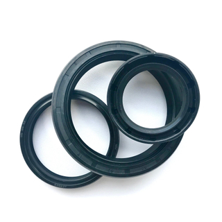 Customized Dustproof NBR FKM Tc Sc Skeleton Oil Seal