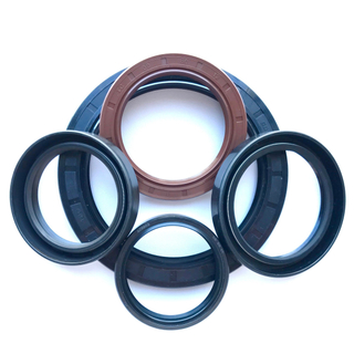 OEM/ODM Lips Tc Sc NBR FKM Skeleton Oil Seal