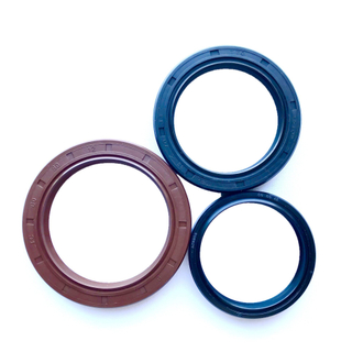 OEM/ODM Rotary Seal NBR FKM Valve Stem Tc Sc Skeleton Oil Seal