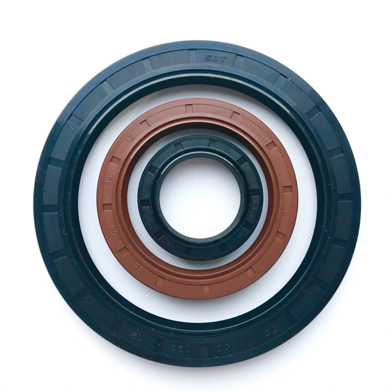 OEM/ODM Oil Resistance NBR FKM Tc Sc Skeleton Oil Seal