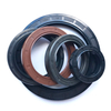 Oil Seal-1