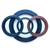 Customized High Temperature Resistance Mechanical Hydraulic Oil Seal