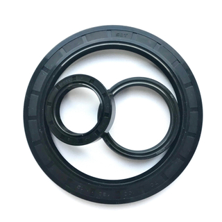 OEM/ODM NBR FKM Valve Stem Tc Sc Skeleton Oil Seal