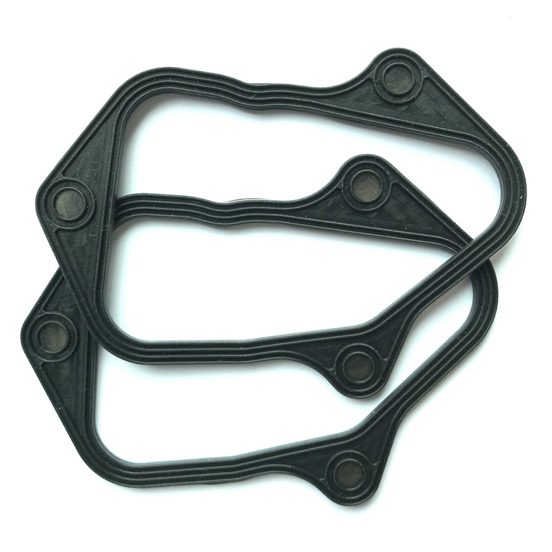 Auto Part Rubber Seal Transmission Seal FKM Rubber Gasket